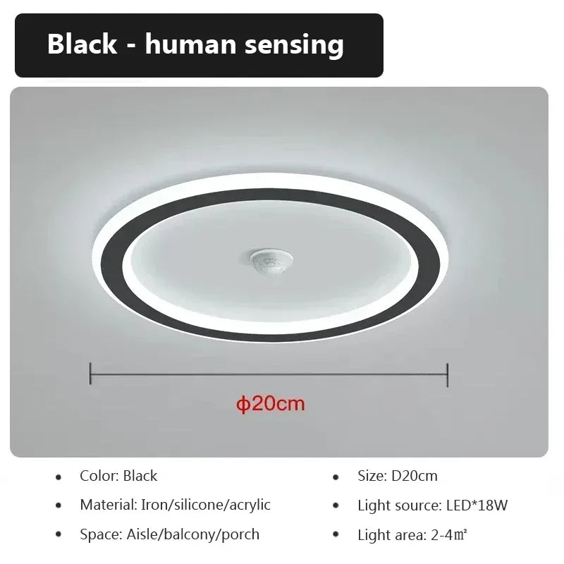 Modern LED Ceiling Light Human Body Induction Lamp for Living Room Entrance Hallway Corridor Sensor Lamp indoor lighting fixture