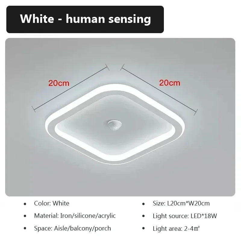 Modern LED Ceiling Light Human Body Induction Lamp for Living Room Entrance Hallway Corridor Sensor Lamp indoor lighting fixture