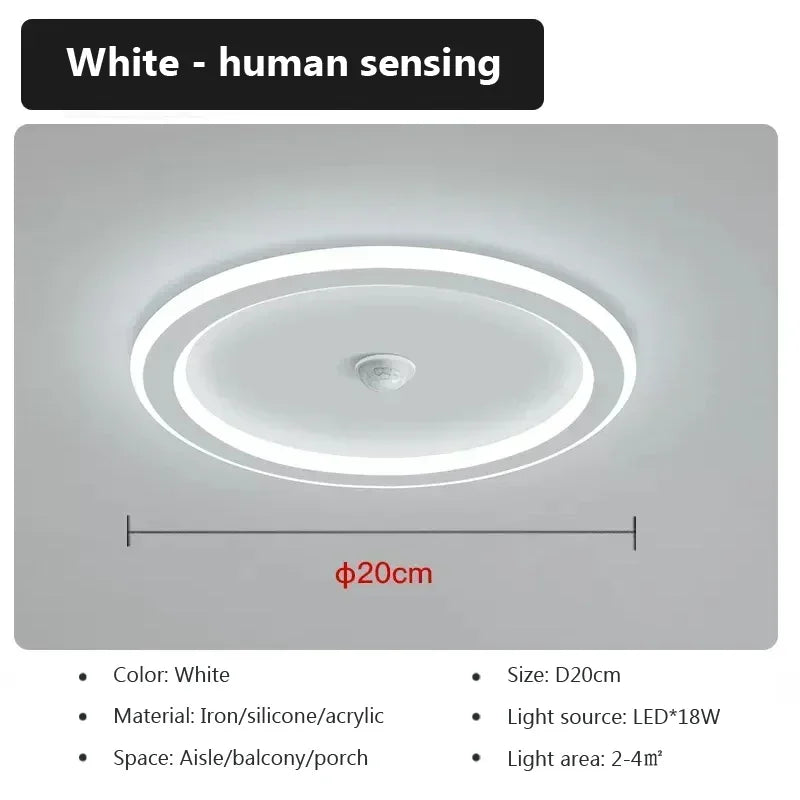 Modern LED Ceiling Light Human Body Induction Lamp for Living Room Entrance Hallway Corridor Sensor Lamp indoor lighting fixture