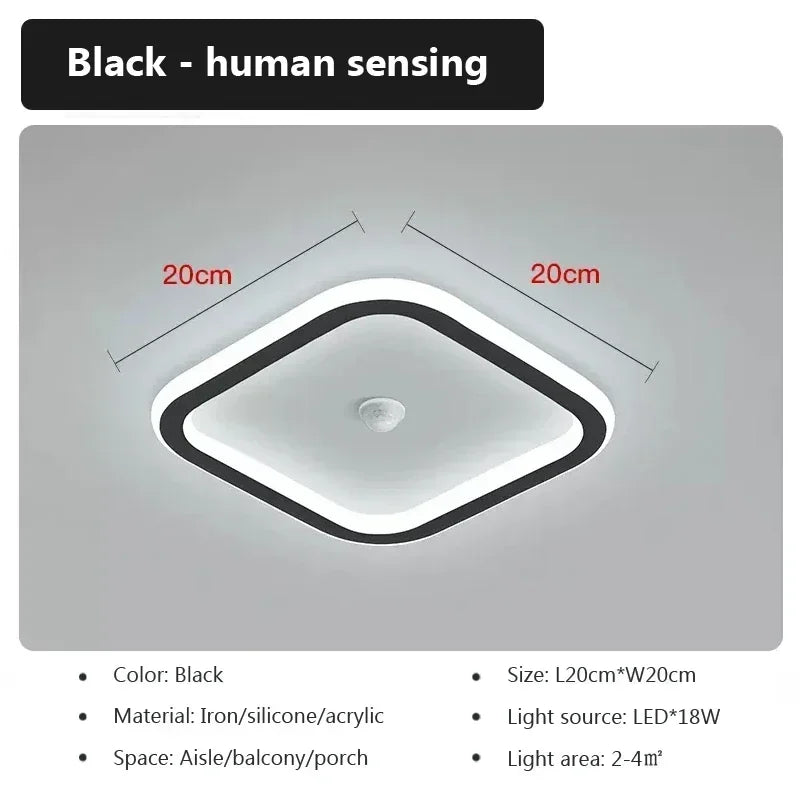 Modern LED Ceiling Light Human Body Induction Lamp for Living Room Entrance Hallway Corridor Sensor Lamp indoor lighting fixture