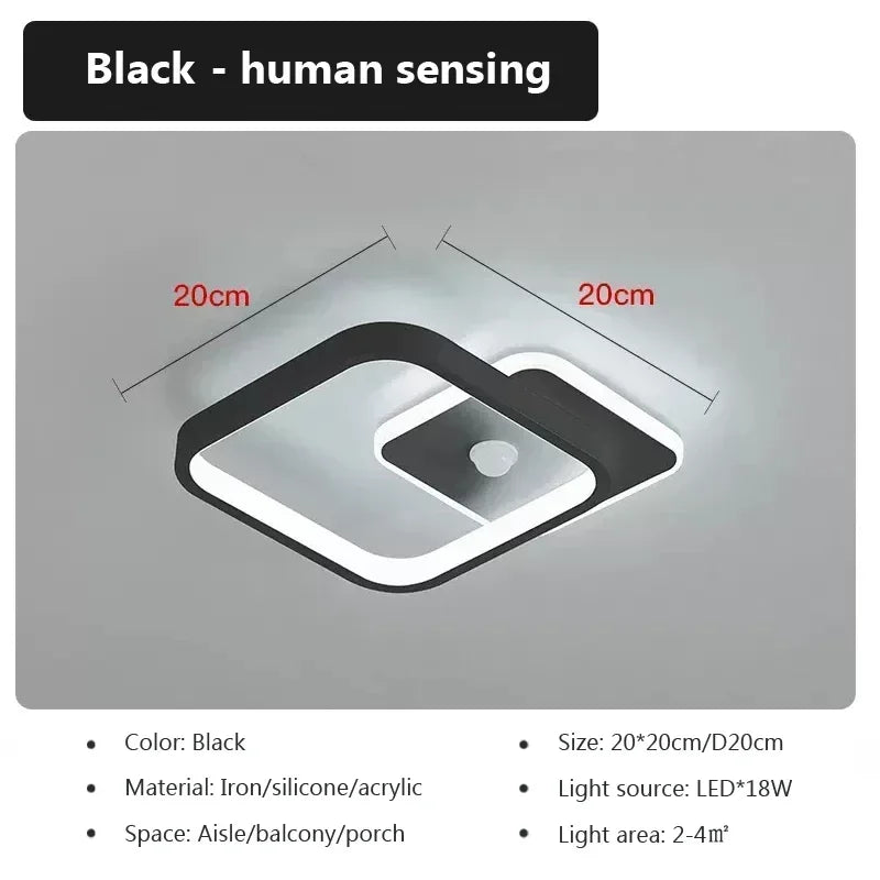 Modern LED Ceiling Light Human Body Induction Lamp for Living Room Entrance Hallway Corridor Sensor Lamp indoor lighting fixture