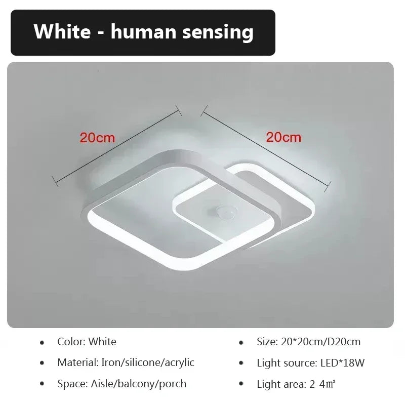 Modern LED Ceiling Light Human Body Induction Lamp for Living Room Entrance Hallway Corridor Sensor Lamp indoor lighting fixture